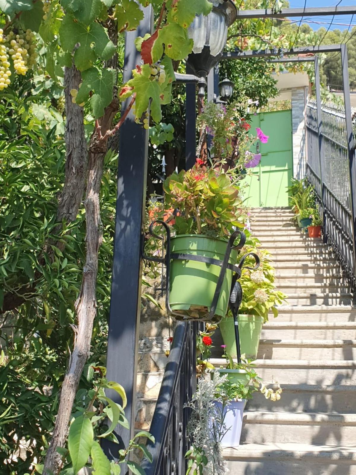 Sara Guesthouse 培拉特 外观 照片